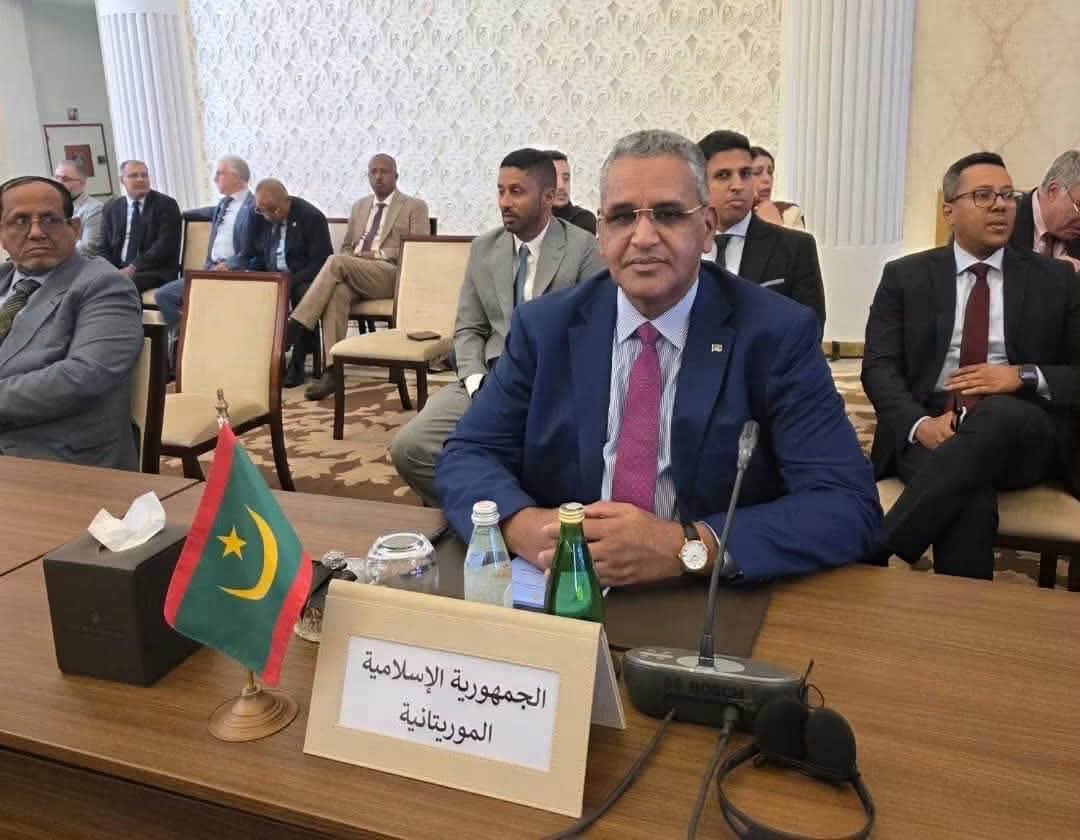إنجاز غير مسبوق.. انتخاب موريتانيا لأول مرة في جميع اللجان الفنية للمنظمة العربية للطيران المدني