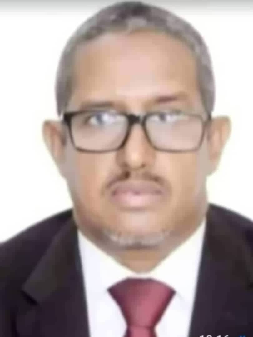 الفساد و النفاق السياسي وجهان لعملة واحدة تعطل مسار التنمية و تمنع قيام دولة المؤسسات و القانون/ اباي ولد اداعة